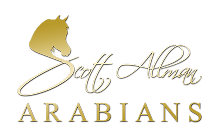 Logo-Allman.png