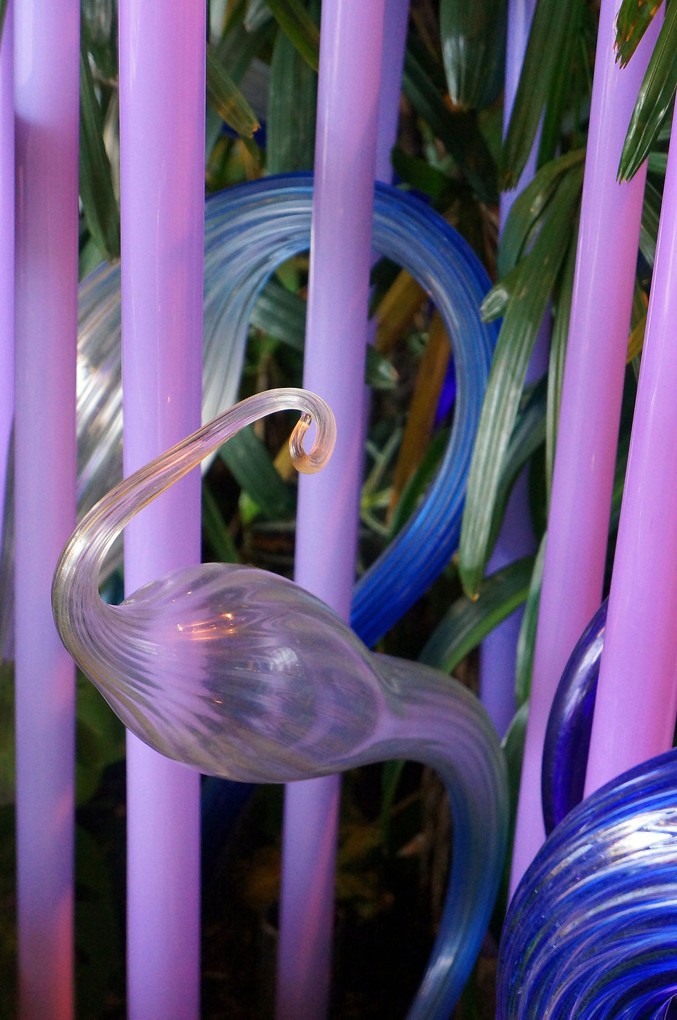Chihuly I