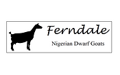 ferndale.png