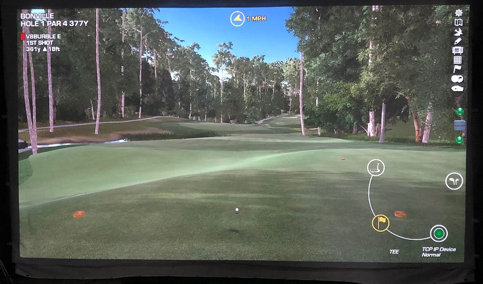 Thumbnail: Premium 4K Impact Screen Material (RAW - no eyelets)