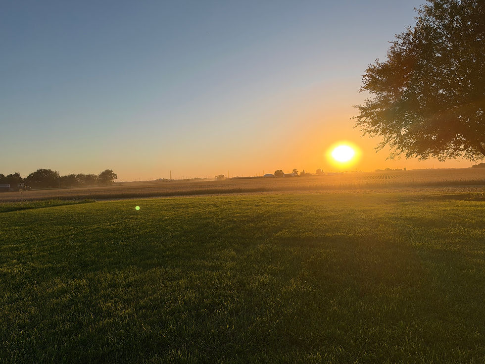 field_sunrise.jpg