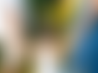 O segundo filho nasceu, e agora?