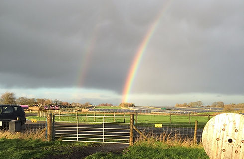 Rainbow over the Field