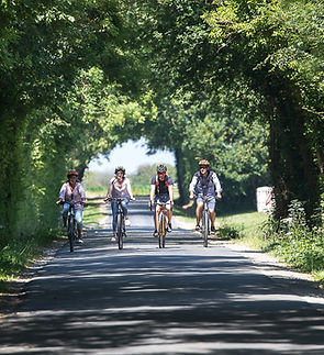 Vélo Bessin LocVélo copyright Arnaud Guérin - Lithosfeer (19 van 21).jpg