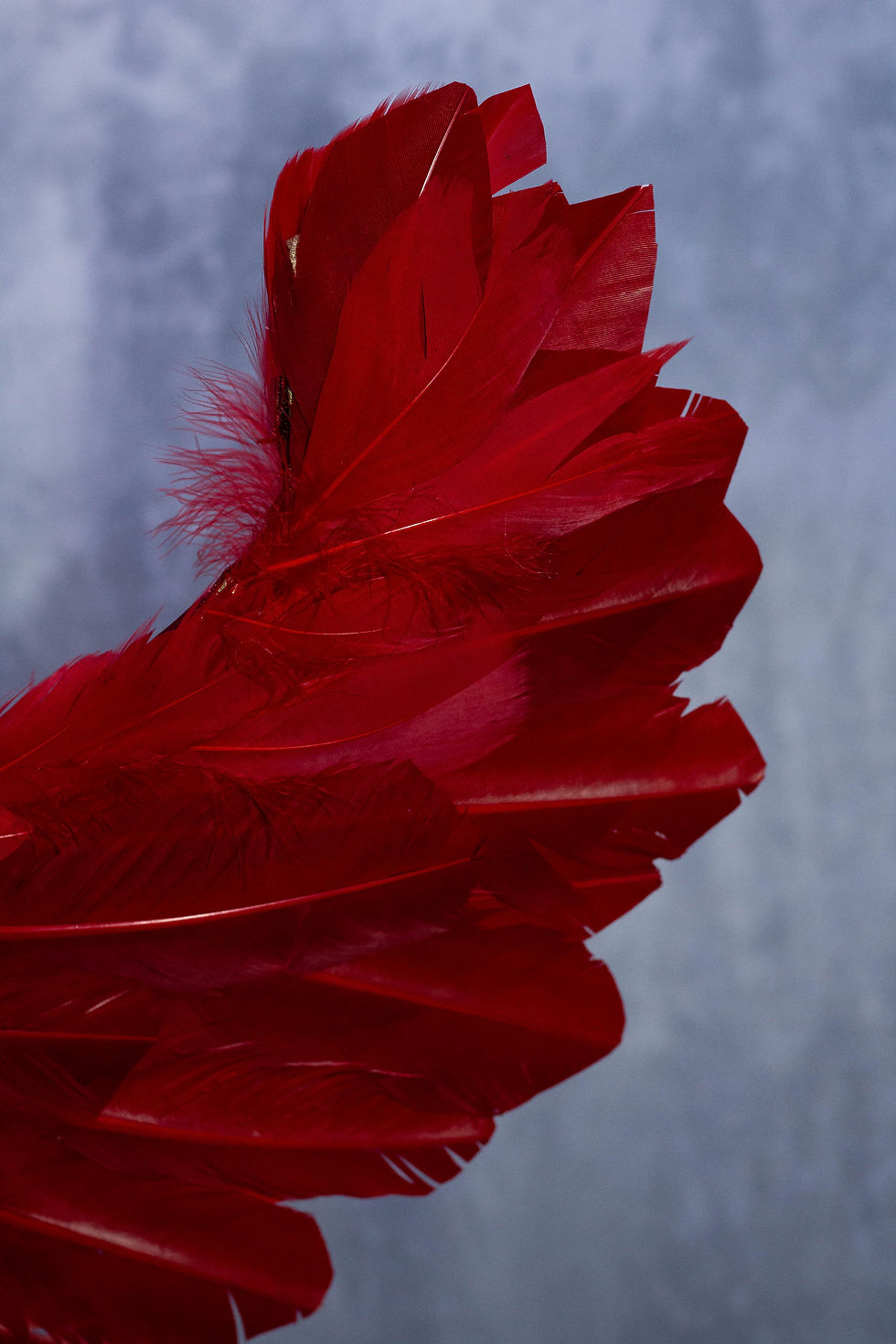 Miniatura: Asa Angel×Demon + tiara ( angelxdemon)