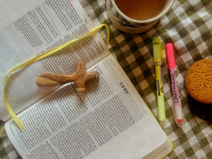 Bible Study Groups: The Gospel of Luke (Sept + Oct 2026)