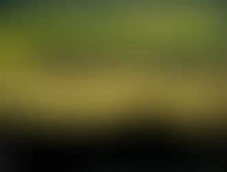 Somethings can not be ignored!