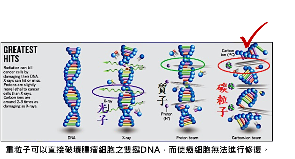 重粒子