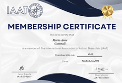 Maz Angel 111 Healing IAAT membership certificate.png
