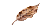 Diseño sin título (1).png