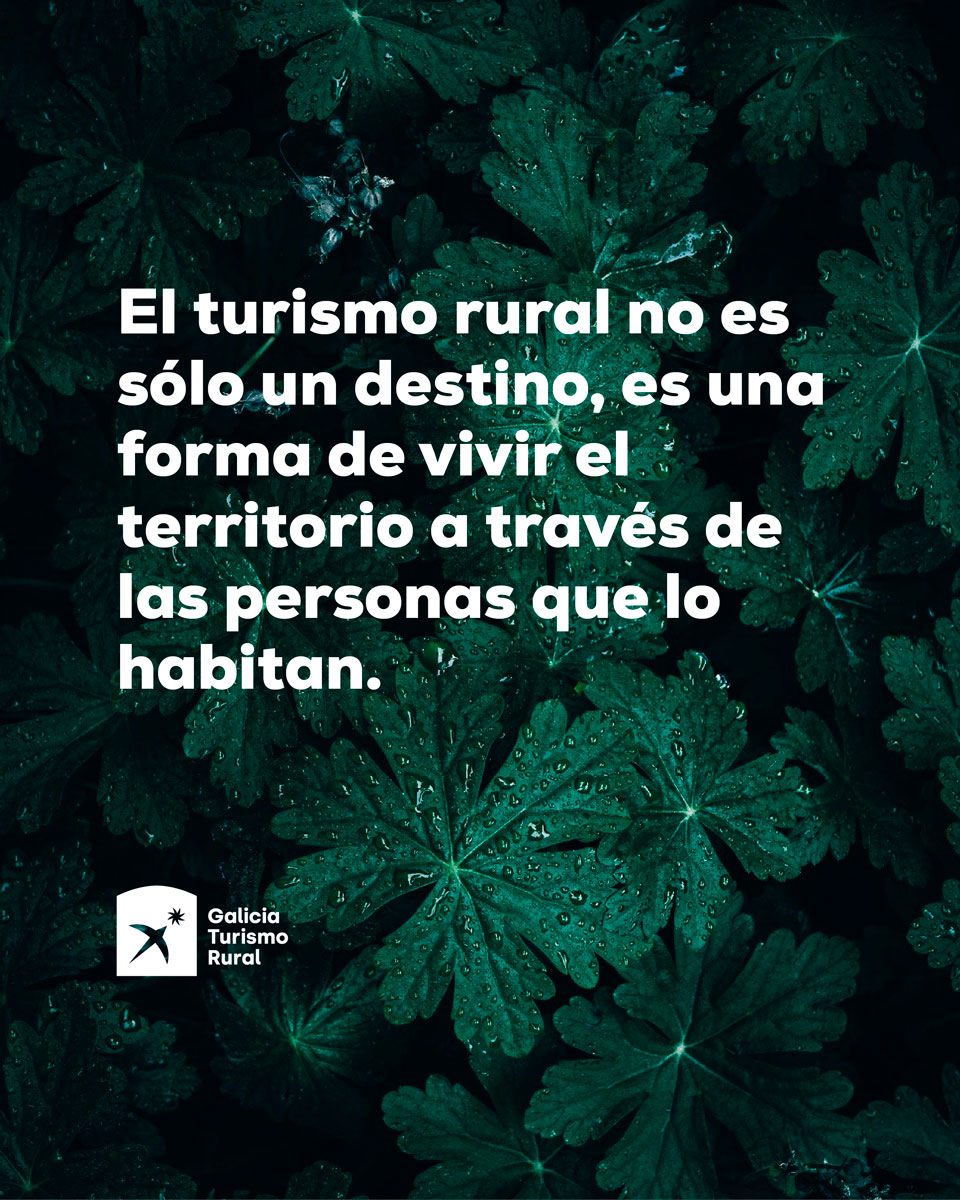 Composición con frase principal sobre fondo de hojas: El turismo rural no es sólo un destino, es una forma de vivir el territorio a través de las personas que lo habitan