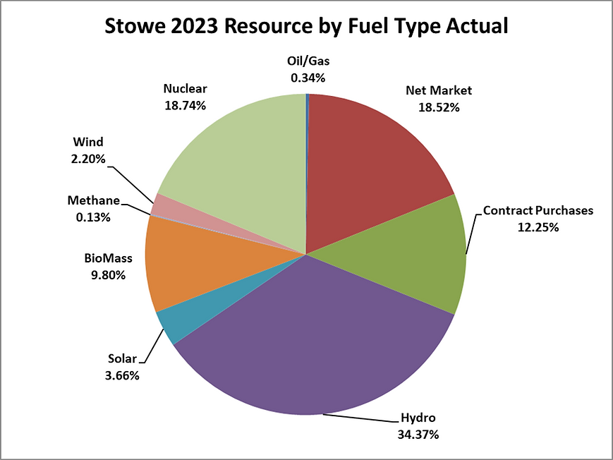 2023 by fuel type.png