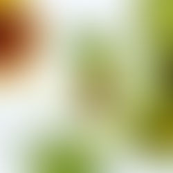 Skin Needs Complete Nutrition