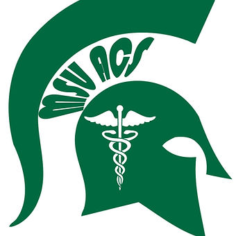 MSU ACS Spartan Head.jpg
