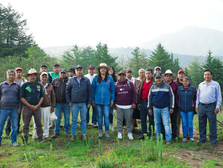 CON LA SIEMBRA DE 30 MIL ÁRBOLES, ARRANCA CAMPAÑA DE REFORESTACION TEXCOCO 2023