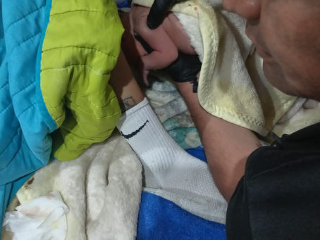 Policías y paramédicos ayudan a mujer en labor de parto a dar a luz en Texcoco.