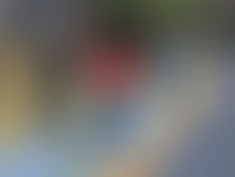 LOS DOMINGOS VAMOS A PASEAR Y DISFRUTAR EN TEXCOCO, EN BICICLETA, PATINES O A PIE