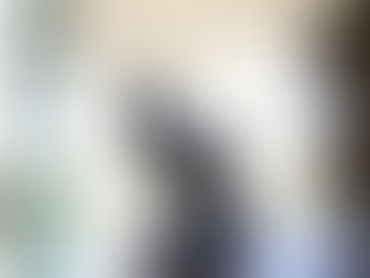 LLEGA ESCULTURA “CABALLO”, DE PHILIP ZARKIN, AL CENTRO CULTURAL MEXIQUENSE BICENTENARIO