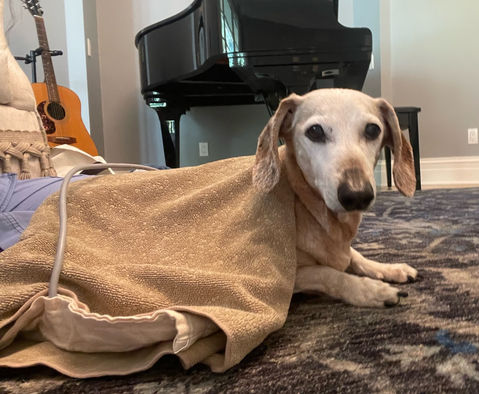 IMG_9069 2_edited.jpg