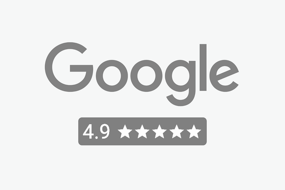 Smart Shield Systems GOOGLE reviews