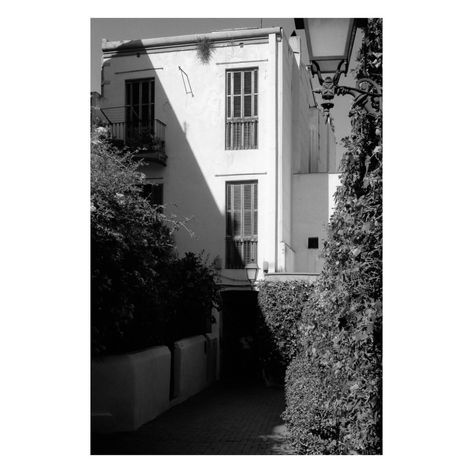 Stille helle Hausfassade hinter Vegetation in Barcelona