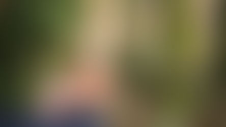 THE BIG FAT SMALL INDIAN WEDDING