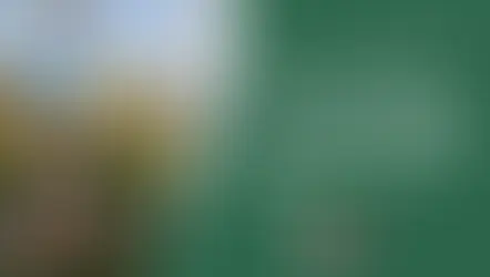 How to Make Your Party Zero Waste: With Eco-Friendly Decorations and More