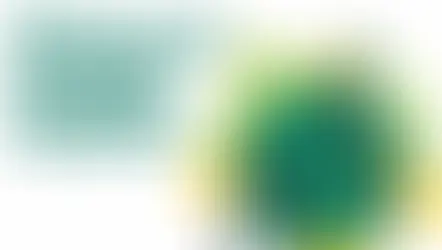 Choosing Your Ideal Environmental Sustainability Consultant in India