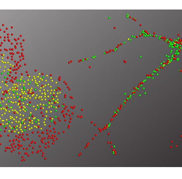 smFISH | molecular beacons | Sanjay Tyagi Lab | United States