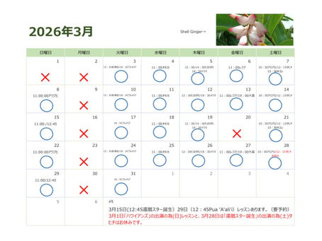 3月のスケジュール🌸