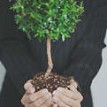 Tree in Hands_edited.jpg