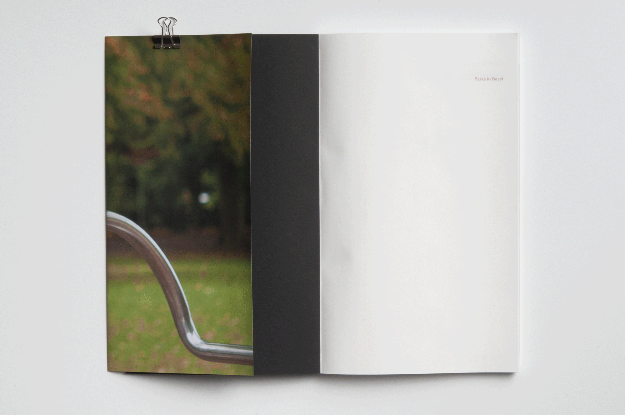 publikation_buch.gif