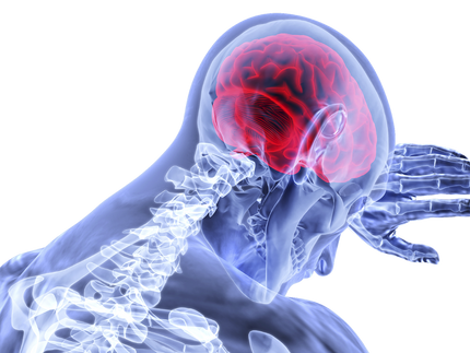 Mega Brain Scan Database Opens for Business