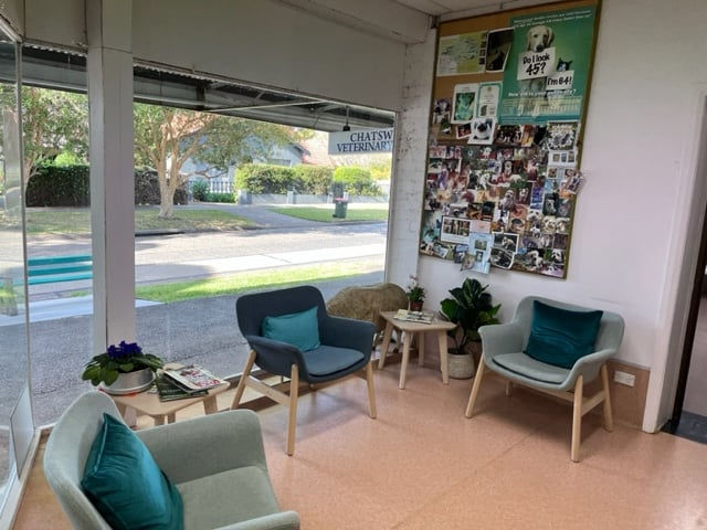 Full Range Veterinary Services Chatswood - Dr Lesa Potten