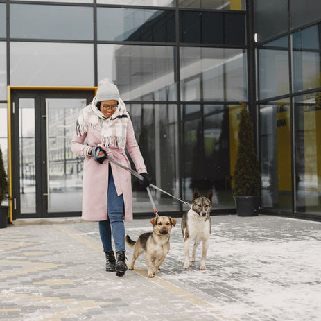 When finding the perfect site, consider local demand, visibility, accessibility, competition, zoning laws, infrastructure, safety, cost, and growth potential.