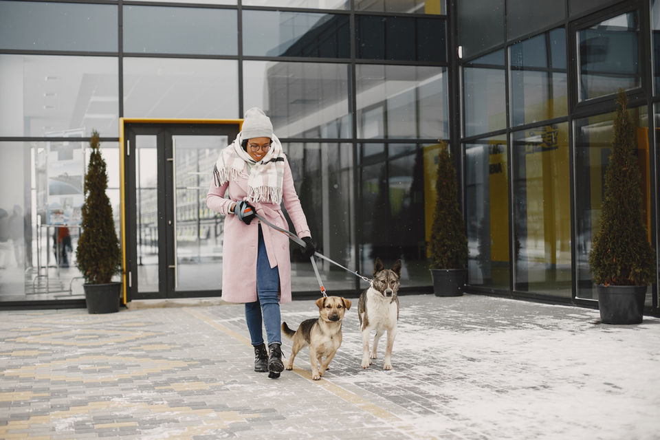 When finding the perfect site, consider local demand, visibility, accessibility, competition, zoning laws, infrastructure, safety, cost, and growth potential.