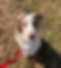 Bash 2_edited.png