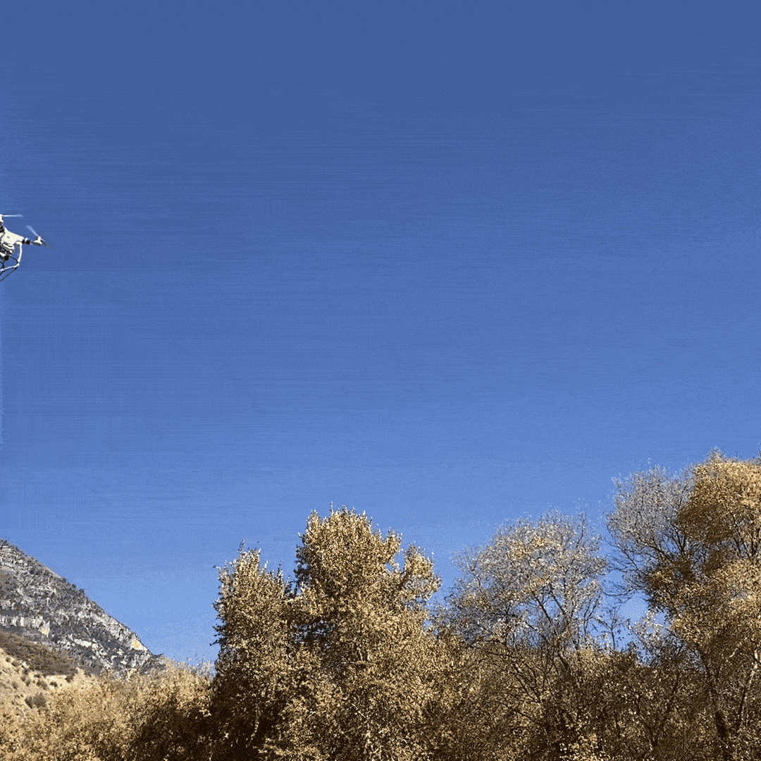 Drone_3.gif