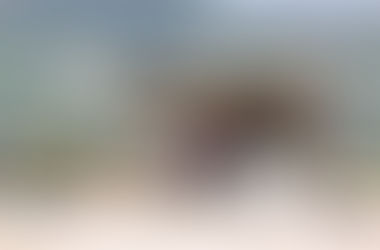 5. Les couleurs du Maroc