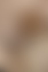 12. Faune et flore marocaines