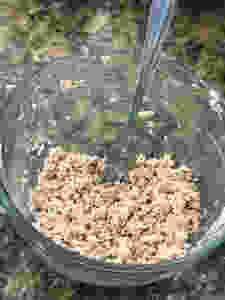 Wild Pacific Salmon Dip