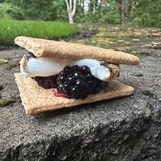Fresh Blackberry S'mores