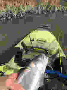 Bill Matthews Outdoors