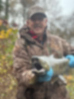 Washington Chum Salmon