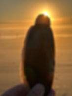 Razor clam season 2024