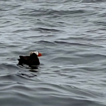 The Hidden Joys of Oregon Coast Fishing Beyond the Catch