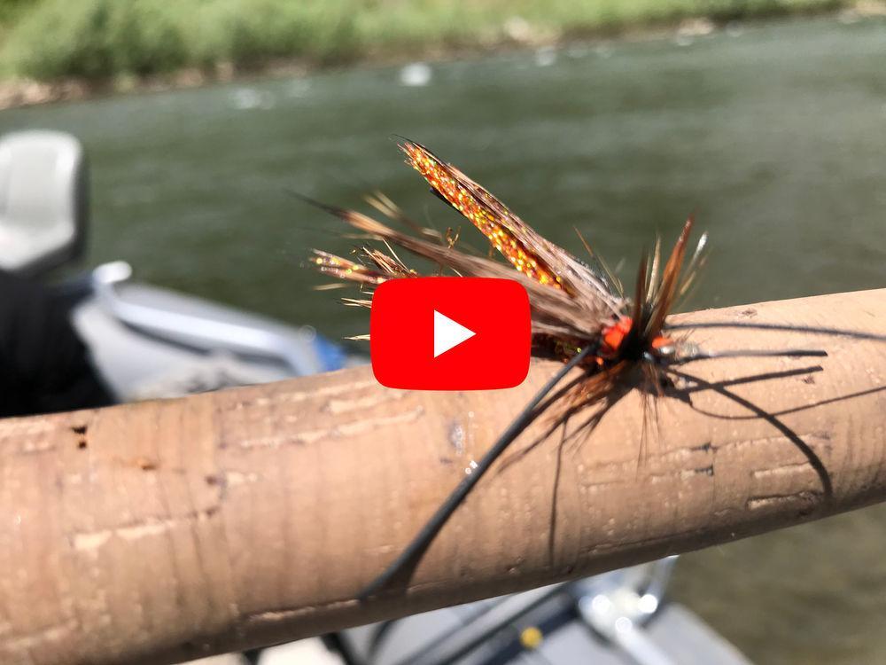 Montana Fathers Day Salmon Fly Hatch