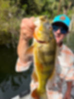 Peacock Bass Panama Canal, Gatun Lake Bill Matthews Outdoors
