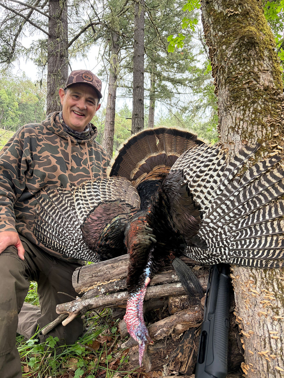 My 1st Turkey at 59 years old