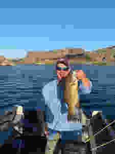 Bill Matthews Outdoors